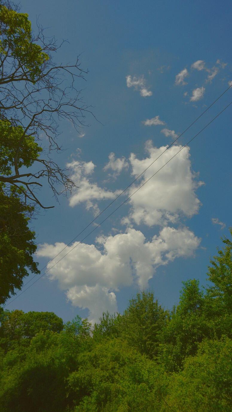Untitled Untitled